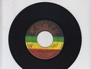 SHOCK/ HERE COMES THE JUDGE -  PETER TOSH (73  REGGAE ROOTS 7