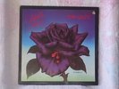 THIN LIZZY BLACK ROSE VINYL 1979 VERTIGO AU PRESSING 6360 169