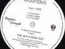 Bauhaus . The Sky's Gone Out . + bonus Ziggy Stardust single . 1982 Vertigo . LP