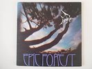 RARE BIRD  ( Epic Forest ) First UK Pressing 1972 Polydor 2442 101 Gatefold