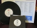 THE CHAMELEONS WHAT DOES ANYTHING MEAN? BASICALLY & 45 RPM Promotion Nostalgia