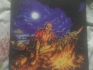 Iron maiden very rare limited 12