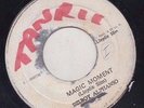 '75 TANRIC REGGAE 45 DELROY ALPHONSO MAGIC MOMENT can i change my mind ?
