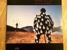 Pink Floyd - Delicate Sound Of Thunder - 1988 Vinyl LP Record PC2 44484