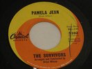 THE SURVIVORS  (BRIAN WILSON of BEACH BOYS)   