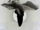 JOY DIVISION : LOVE WILL TEAR US APART 6 TRACK PICTURE DISC CLEAR VINYL LP