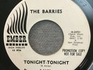 The Barries - Tonight Tonight / Mary Ann PROMO 45 Ember records doo wop soul