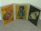 The B-52's Rock Lobster x 3 Limited Rectangular Picture Disc Vinyl Singles 1986
