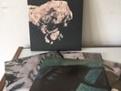 PIXIES Death To The Pixies box coffret 4 X LP 10