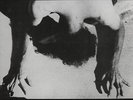 Saccharine Trust - Pagan Icons