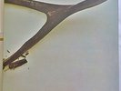 Wishbone Ash-Wishbone Ash(LP)-MCAMKPS2014-gatefold sleeve