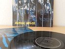 KULTSCHEIBE - UDO - ANIMAL HOUSE - FIRST PRESSING GERMANY - RARE 