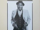 Muddy Waters Hard Again USA BLUE SKY Blue Sky Vinyl LP