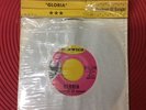 THE SHADOWS OF KNIGHT Gloria DUNWICH DX-116 Still In Retail Packaging