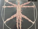 Leeway Born To Expire LP repress black NYHC Cro-Mags Agnostic Front Warzone HC