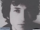 Bob Dylan, Albert Hall Concert 150g 2LP Box from the Michael Hobson Archives