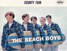 Beach Boys 