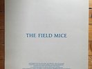 The Field Mice – Coastal / 1990 Sarah Records Vinyl LP SARAH 606 (NM)
