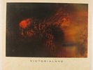 Cocteau Twins - Victorialand LP - 4AD VG+