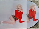Madonna, Rebel Heart LP Picture Disc