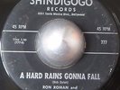 GARAGE 45 RON ROMAN AND THE LIVIN' END A hard rains gonna fall SHINDIGOGO LISTEN
