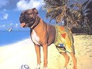 Mr Love Pants - Ian Dury (2015, Vinyl New)
