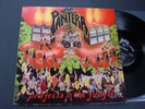 Pantera   