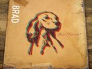 Brad ?- Best Friends? (LP, Vinyl)