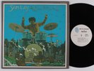 SAM LAY Sam Lay In Bluesland BLUE THUMB LP NM