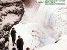 ECHO AND THE BUNNYMEN PORCUPINE LP WHITE VINYL NEW
