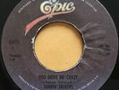 SHAKIN' STEVENS you drive me crazy  45 COSTA RICA PRESS