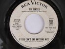 Northern Soul 45, Gia Mateo, If You Can't Say Anything Nice, RCA WLP