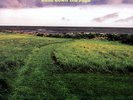 Ease Down the Road [LP] by Bonnie 'Prince' Billy (Vinyl, Apr-2001, Drag City Rec