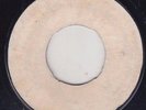 '73 COUNT SHELLY REGGAE 45 RICO RODRIGUEZ JUNGLE FEVER/L. AITKEN RIVER JORDAN ?