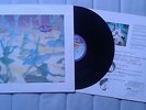 Belly Star  LP Original UK 4AD Breeders Throwing Muses
