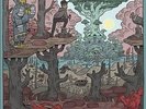 Sound of the Son [LP] * by DOOM/NehruvianDOOM/Bishop Nehru.