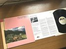 LP - Friedemann - Indian Summer  /   180 gramm - Audiophile Pressung