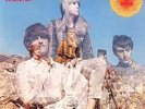 FOLKLORDS - Release the Sunshine - LP + 7 inch 1968 Lion