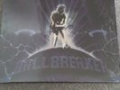 AC/DC Ballbreaker 1995 vinyl LP