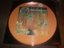 slayer - hell awaits   limited picture  lp  0070