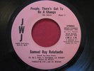 SAMUEL RAY RELAFONTE (1976) JWJ   RARE AFRO GROOVE PSYCH FUNK BREAKS 45