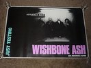 Wishbone Ash 1980 MCA Records UK Shop Poster