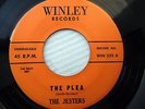 the JESTERS doowop 45 THE PLEA / OH BABY strong VG+ Winley Records e8493