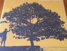 Jack Johnson In Between Dreams vinyl LP in gatefold sleeve new