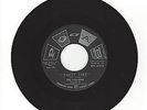 INSTRUMENTAL ROCKER- THE PALADINS- 