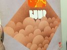 Bump - S/T * Orig 1970 Pioneer Detroit Psych LP Rare