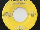 Firehose Brave Captain Rare Mike Watt Minutemen SST Records Promo Copy 45