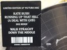 Kate Bush Running Up That Hill (2012 Remix) 10