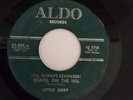NORTHERN SOUL 45/ LITTLE JERRY 