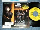MATIA BAZAR Japan 1986 NM 7